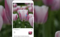 Google mang tính năng tìm kiếm thông tin qua camera lên iOS