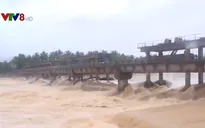 Bình Định: Gần 7.000 ha lúa mới gieo sạ có nguy cơ mất trắng do mưa lũ
