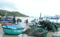 Nhiều rủi ro từ việc nuôi tôm hùm ngoài quy hoạch