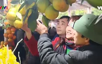 Khai mạc lễ hội cây ăn quả có múi tỉnh Hòa Bình