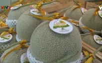 Nông nghiệp công nghệ cao - Không chỉ là đam mê