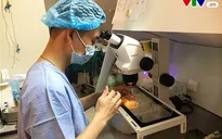 Vô sinh hiếm muộn: 50% do nam giới