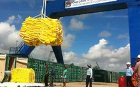 Giảm chi phí logistics để tăng sức cạnh tranh cho nông sản