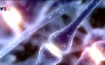 Cà phê có thể giúp điều trị căn bệnh Parkinson