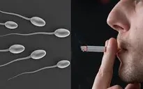 Thuốc lá - Thủ phạm khiến nam giới "trên bảo dưới không nghe"?
