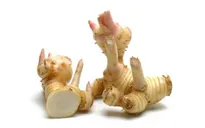 Chữa đầy hơi, đau bụng, nôn mửa, tiêu chảy từ riềng
