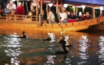 Đánh bắt cá bằng chim cốc tại Nhật Bản
