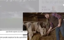 Cắt giảm khí thải trong sản xuất nông nghiệp: Nhiều nước "đau đầu"