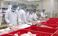 Đầu tư chế biến thịt, lối ra bền vững cho người chăn nuôi