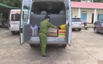 Phát hiện trên 50 cá thể động vật hoang dã tại nhà hàng