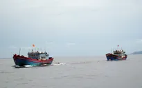 Ngư dân bị lôi kéo đánh bắt hải sản bất hợp pháp ở nước ngoài
