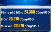 Tỷ giá trung tâm tiếp tục tăng 4 đồng