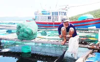 Khó tuân thủ quy hoạch: Nghịch lý ở vùng nuôi thủy sản