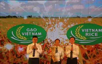 Công bố logo thương hiệu gạo Việt Nam