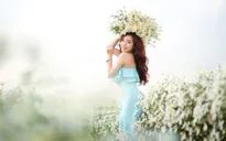 Mai Diệu Ly khoe nhan sắc xuân thì rực rỡ bên cúc họa mi