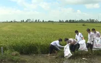 Hiệu quả từ mô hình thu gom rác thải bảo vệ thực vật ở Bạc Liêu