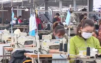 Doanh nghiệp dệt may đẩy mạnh thiết kế, chiếm lĩnh thị trường nội địa