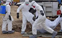 Bên trong nạn dịch chết người Ebola, chuyện gì đang diễn ra?