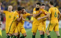 ĐKVĐ Australia mang lực lượng cực mạnh dự Asian Cup 2019
