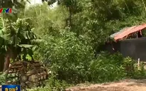 TP.HCM thu hồi 180 dự án treo, khôi phục quyền lợi cho người dân