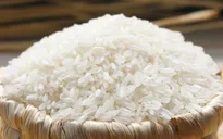 Ăn gạo càng trắng, càng ít chất dinh dưỡng?