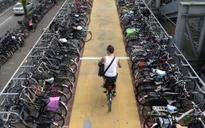 Hà Lan chi tiền cho người dân đi xe đạp