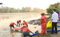 Cơ bản hoàn thành xử lý sự cố tràn dầu ở Thanh Hóa