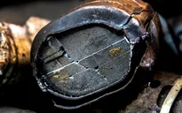 Palladium - Vật liệu chế tạo ô tô đắt hơn vàng