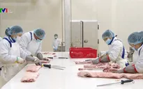 Khánh thành tổ hợp chế biến thịt mát đầu tiên tại Việt Nam