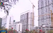 UBND TP.HCM dành hơn 60.000m2 xây dựng nhà ở xã hội