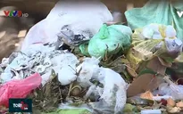 Khó xử lý tình trạng rác thải nông nghiệp tại các thành phố