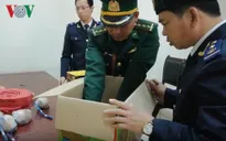 Phát hiện hàng chục kg pháo cất giấu trong xe container chở hoa quả