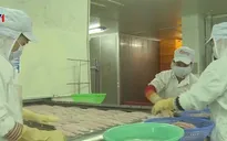 Xuất khẩu của doanh nghiệp tư nhân tăng mạnh
