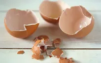 Ăn vỏ trứng: Tác dụng và tác hại cần lưu ý