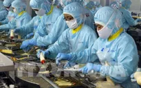 Ngành thủy sản đầu tư vào chất lượng để nâng cao giá trị xuất khẩu