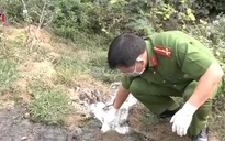 Bắt quả tang trang trại lợn xả nước thải chưa xử lý ra môi trường