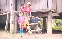 Bộ Công an chỉ đạo ngăn chặn nạn mua bán bào thai