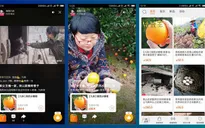 Livestream - Phương thức bán hàng mới của nông dân Trung Quốc