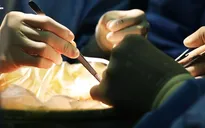 9 sự kiện tiêu biểu ngành Y tế năm 2018