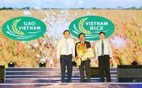 Vĩnh Long sẽ đăng cai Festival Lúa gạo Việt Nam 2019