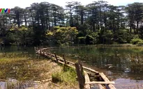 Tháo dỡ công trình vi phạm tại hồ Tuyền Lâm