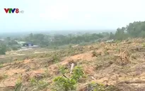 Hà Tĩnh: Bất cập trong công tác quản lý, chuyển đổi đất lâm nghiệp