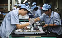 TP.HCM tập trung hỗ trợ doanh nghiệp xuất khẩu