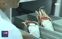 Vẫn có nguy cơ thiếu máu và chế phẩm máu nhóm O dịp Tết