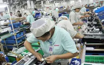 Sách trắng doanh nghiệp Việt: Bức tranh tổng thể về cộng đồng doanh nghiệp