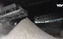 Phát triển bền vững đem lại cơ hội nghìn tỷ USD cho doanh nghiệp