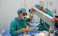 Đục thủy tinh thể có chữa khỏi hay không?