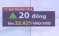 Tỷ giá trung tâm tăng mạnh