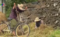 Độc đáo những ngôi làng đá ở Phú Yên