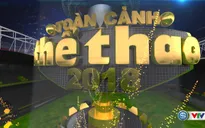 Chương trình thể thao đặc sắc Tết dương lịch 2019: "Toàn cảnh thể thao 2018"